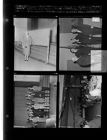 Misc. photos (4 Negatives) March 10-12, 1955 [Sleeve 32, Folder d, Box 6]